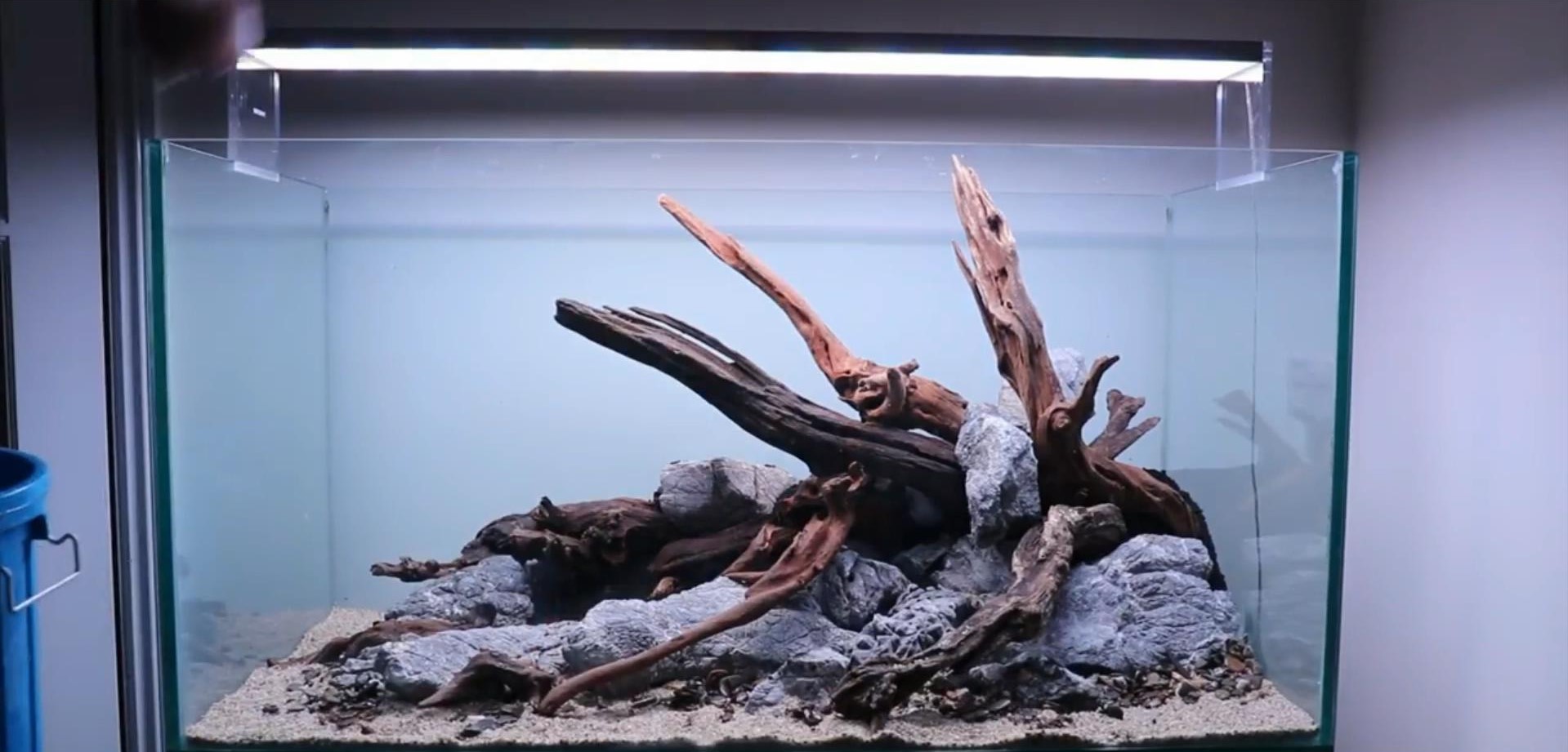 沉木草缸入门造景,50厘米草缸入门造景