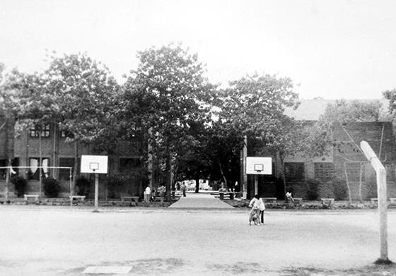 常熟记忆之:雪松之下——校友眼中“省中”的前世今生