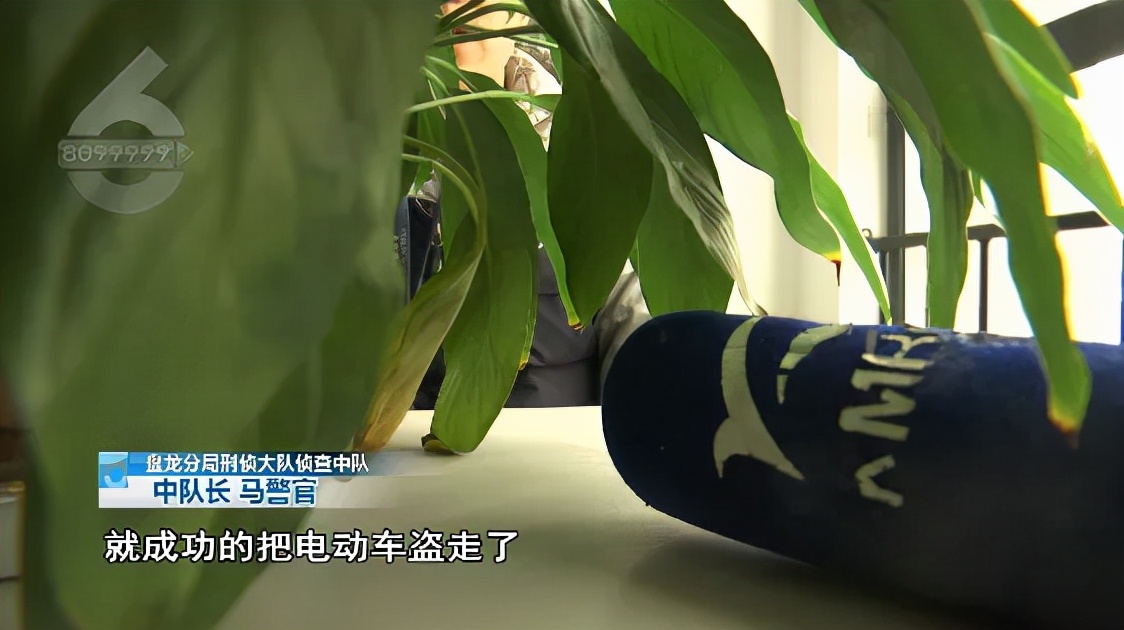 这伙小蟊贼，专偷“小猴子”