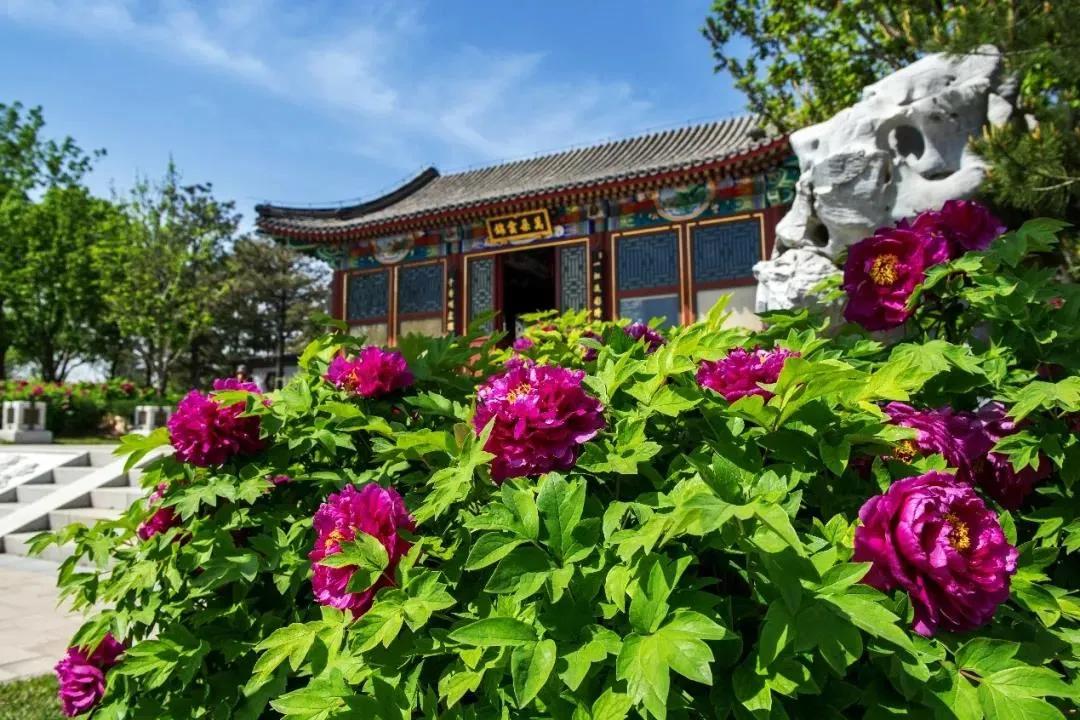 北京4月踏青的地方丰台区有哪些,丰台踏青好去处