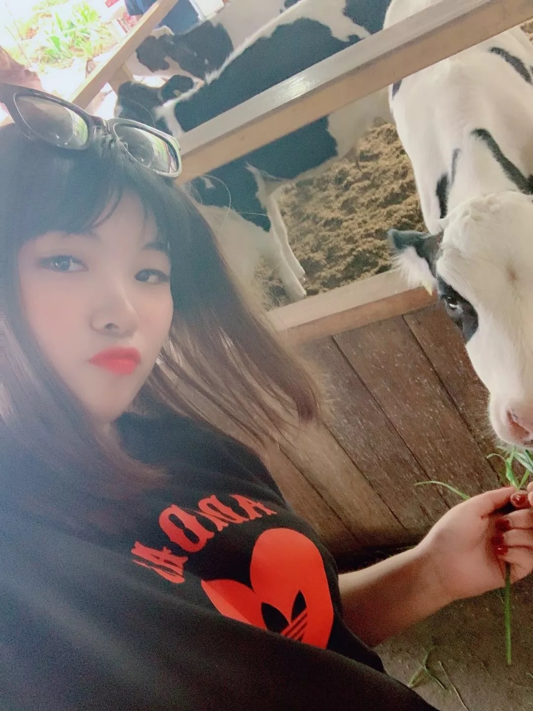 去吉隆坡然后直接去槟城,仙本那槟城吉隆坡区别