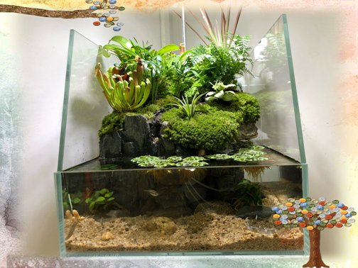 半夜睡不着想改造房间把家拆了,睡不着觉的装修效果图