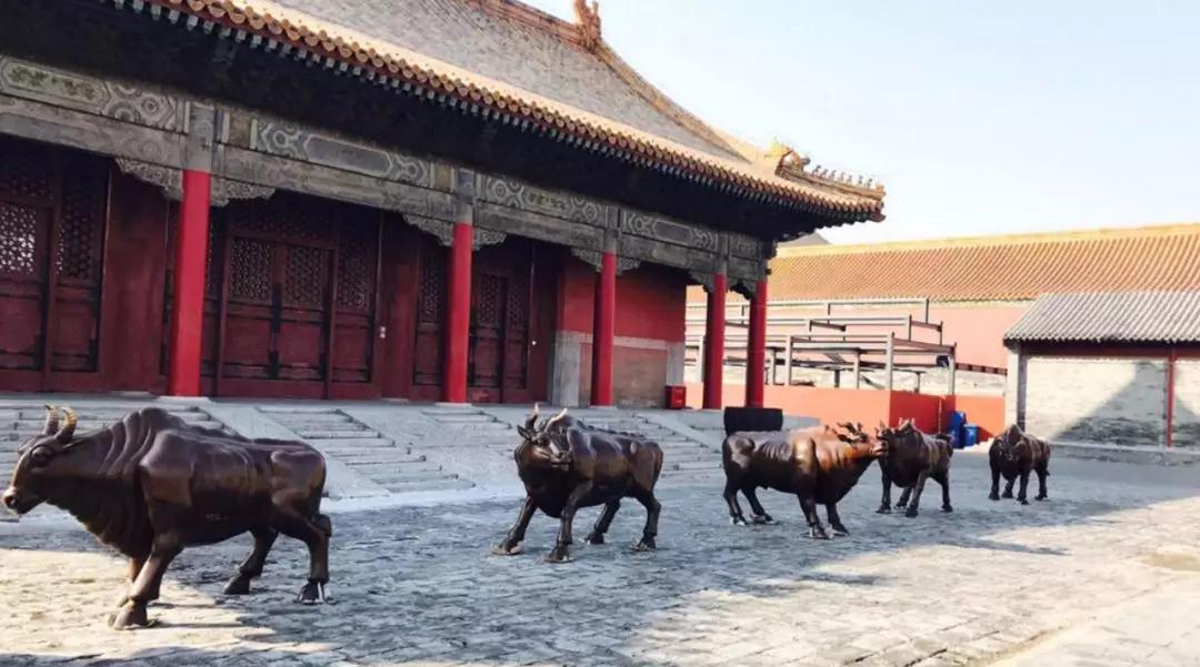 朱军岷现状,朱军岷最新直播