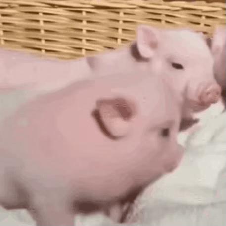 2021最火可爱壁纸海绵宝宝,壁纸手机可爱海绵宝宝