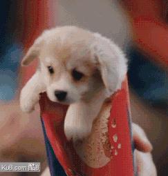 月黑风高光线效果,月黑风高照亮你的美图片