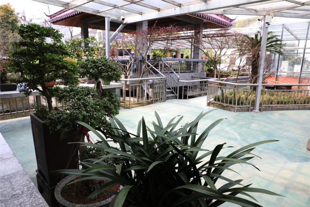 江阴人少景美,江阴有哪些人文景观