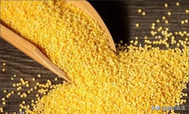 沈阳有什么特色农产品,辽宁省14个市县特产农产品