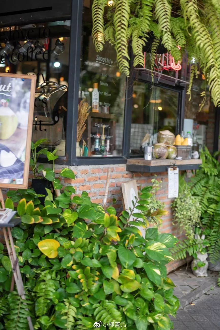 曼谷又好吃又好玩 (泰国美食曼谷旅游攻略)