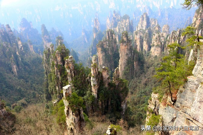 张家界森林公园亲子游攻略,张家界旅游攻略现在张家界气温