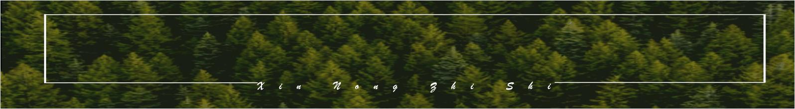 云南楚雄紫溪山山药栽培技术,山药塑料管立式栽培技术图片