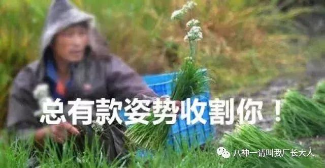 职场口语表达能力的引导练习,八神技能教学