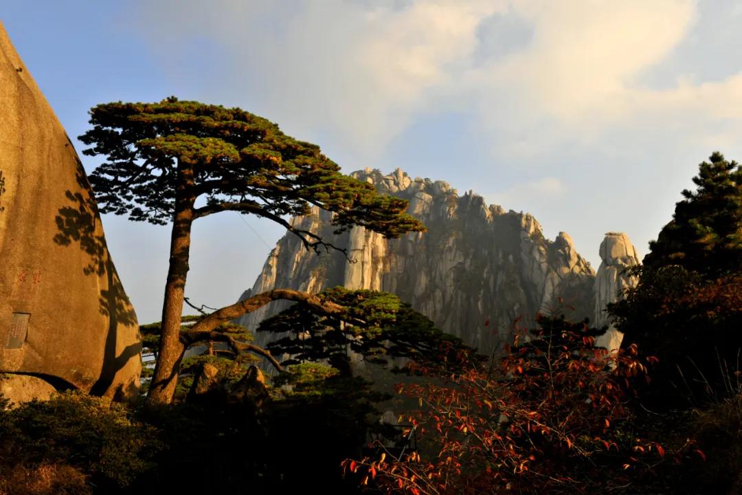 黄山秋季旅游攻略必备品,黄山风景区自由行旅游攻略
