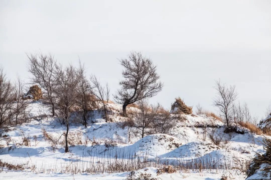 怎么讽刺天气冷,吐槽广东天气冷的段子