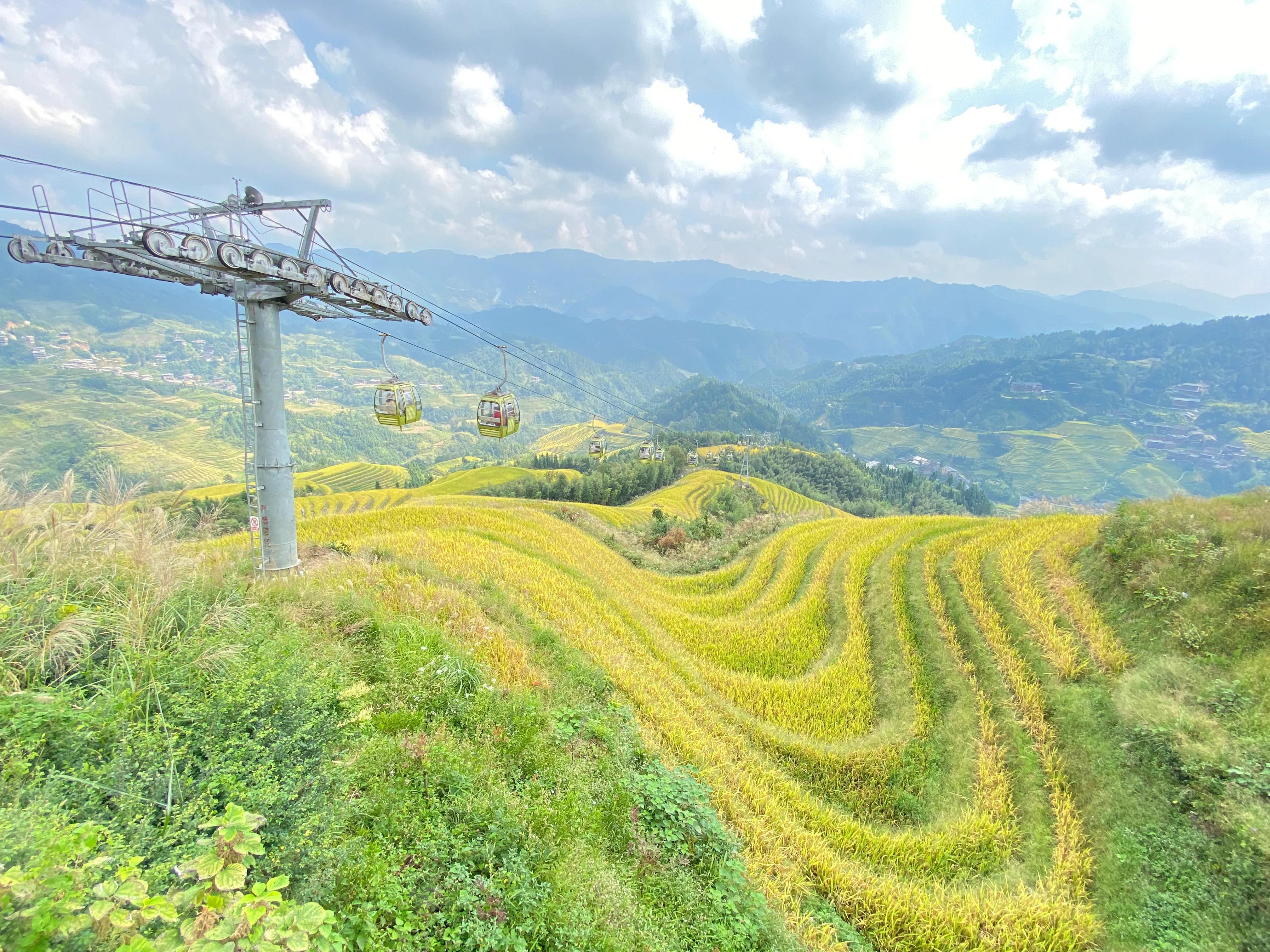 龙胜龙脊梯田香米,龙胜龙脊梯田分红