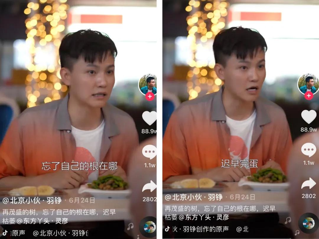 抖音涨粉最新数据,抖音盘点号涨粉