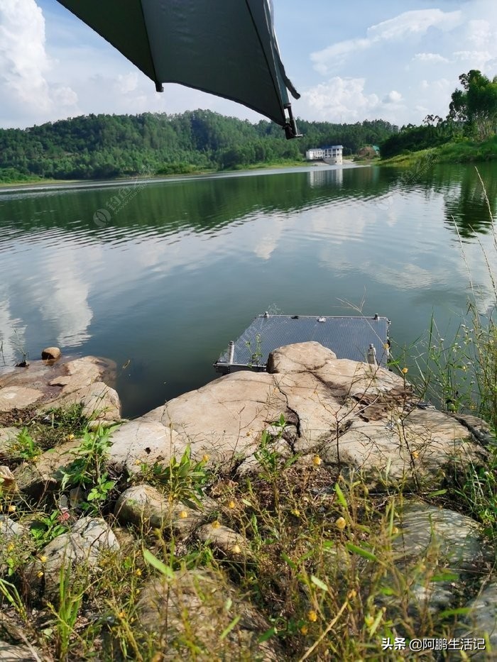 雨中作乐:酒足饭饱，雨后垂钓收货颇丰！