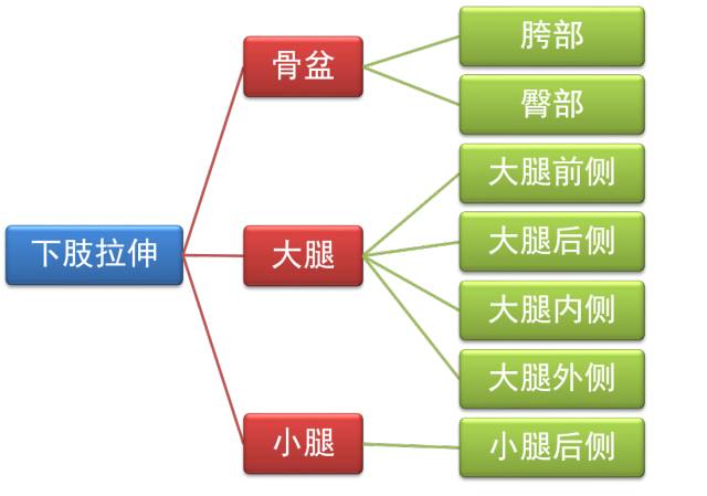 小臂拉伸细节,跳绳热身拉伸动作细节