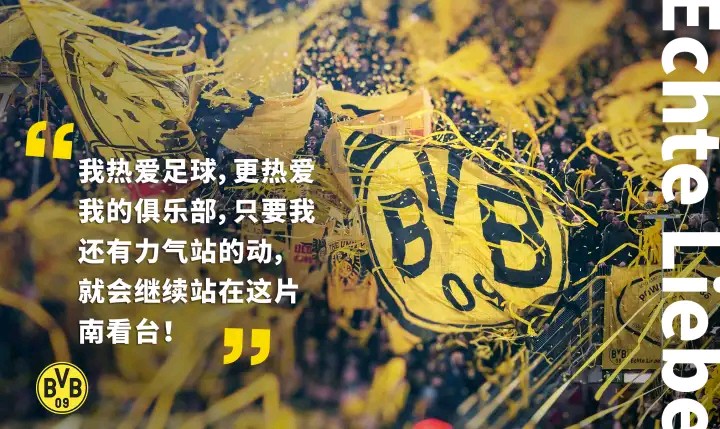 黄黑之墙电影,黄黑的墙