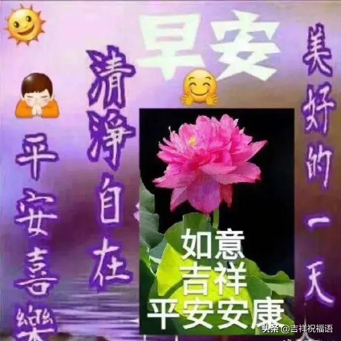 你若盛开蝴蝶自来正能量的句子,你若盛开蝴蝶自来老天自有安排