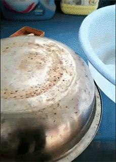 搞笑动图gif兔子,搞笑动图gif猫咪