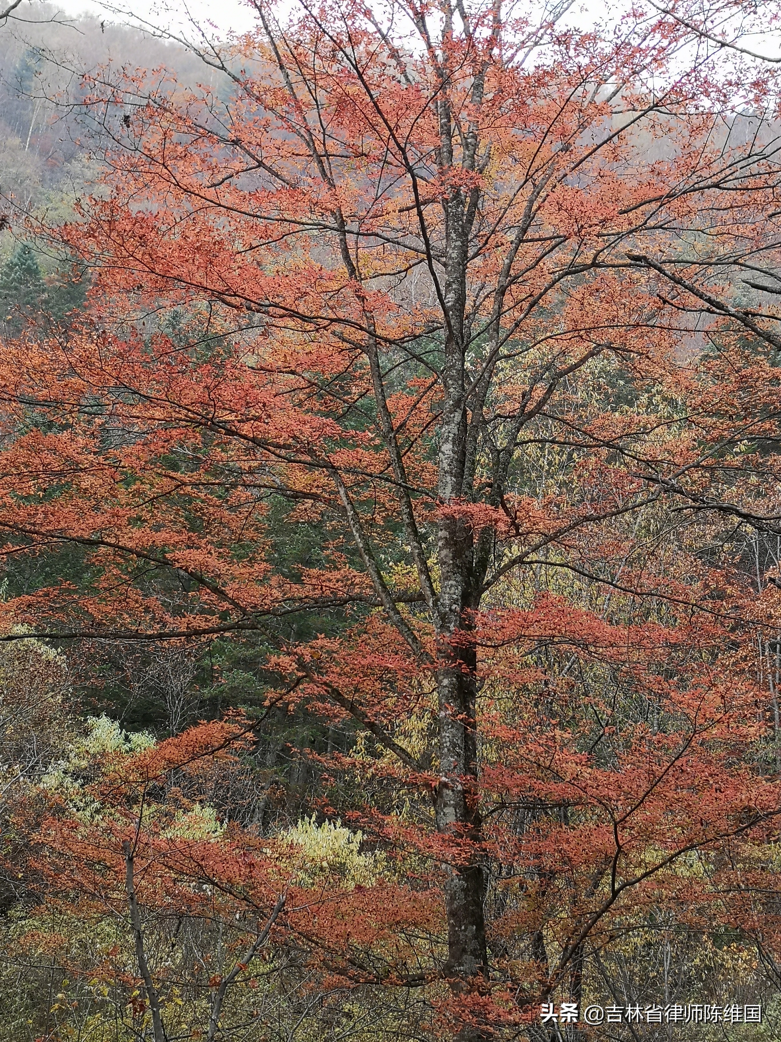 奇石碧水望天鹅－国庆游记之三