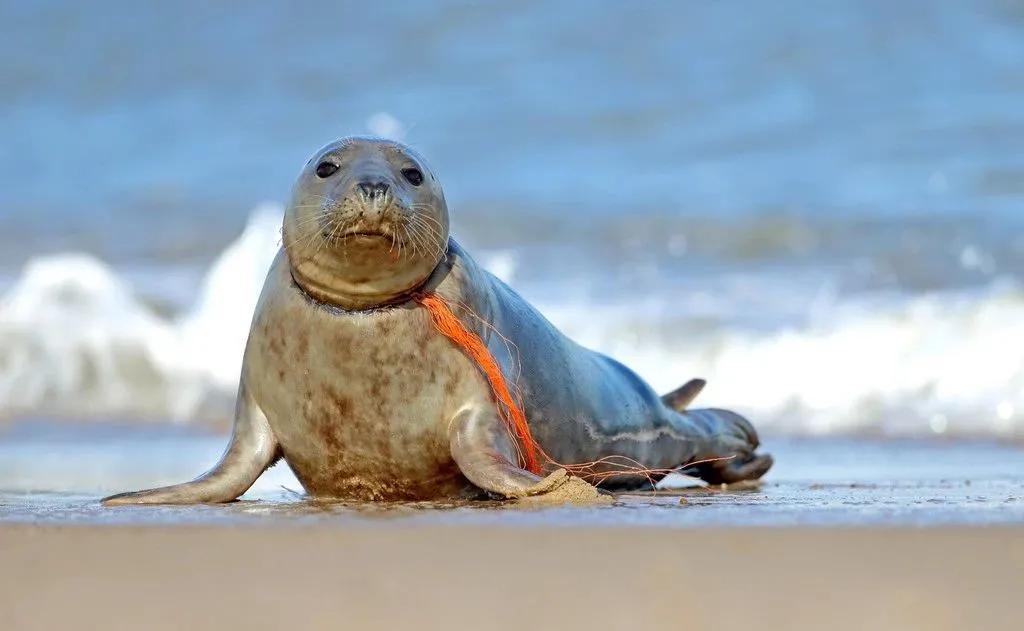 昆山奶茶品牌有哪些,昆山什么奶茶最好喝