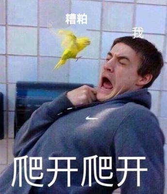 文化不被传承的影响,文化没得到传承的原因