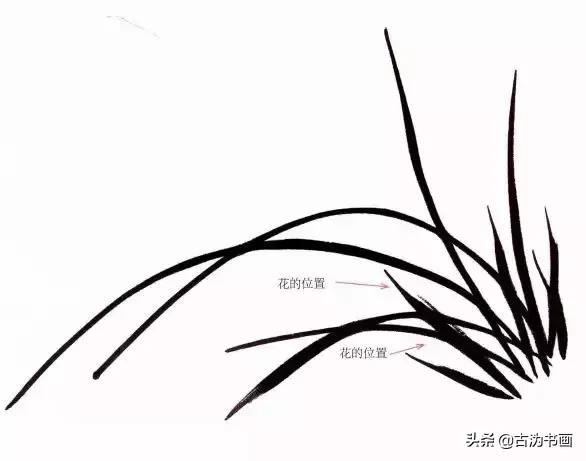 徐湛国画兰花技法教学,国画兰花入门技法