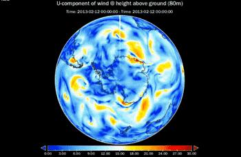 南极的神奇动物企鹅,南极生物图鉴