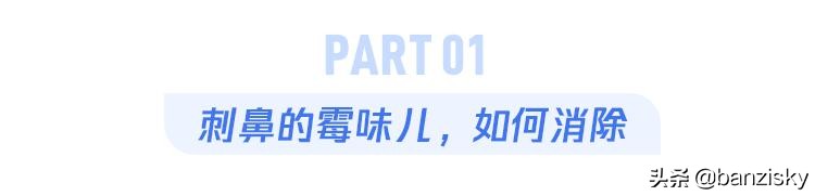 被子长出了木耳，老鼠满地跑，牙刷长了毛，这宿舍该咋收拾啊