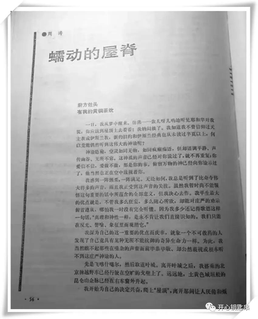 周涛散文在线阅读,周涛的散文家有多厉害