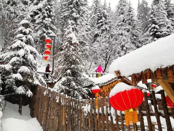 11月份的雪乡有雪吗,雪乡和新雪乡有什么区别