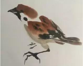 写意花鸟配景石的画法,干货写意花鸟类的画法