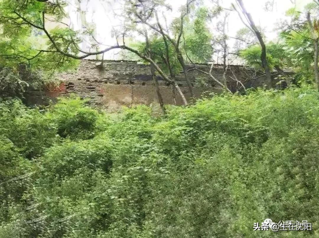 辽宁监狱旧址,辽宁老建筑老照片