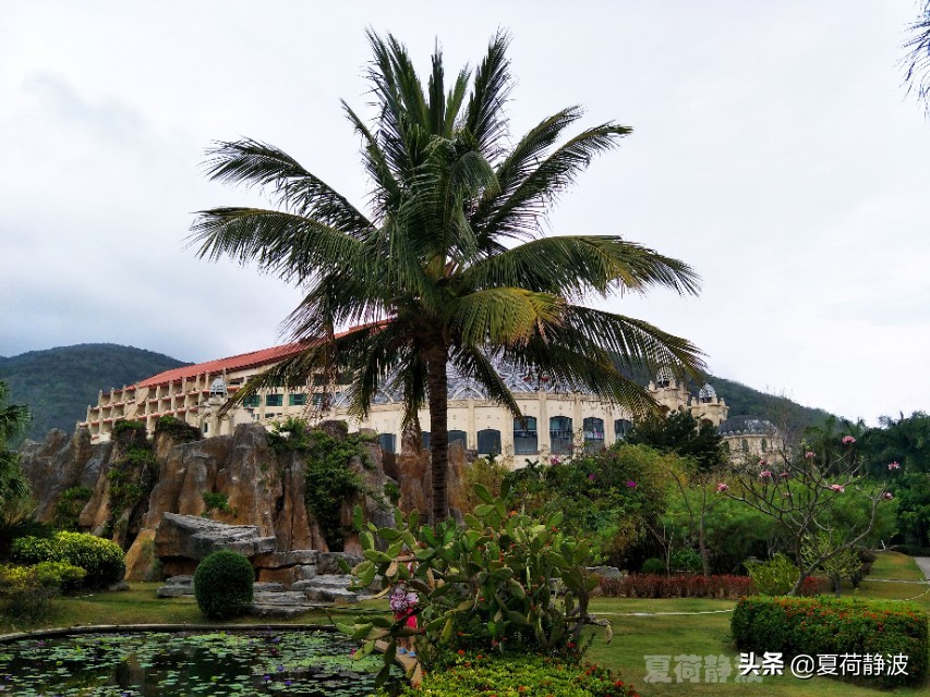 海南潜水旅游攻略一日游,海南亚龙湾游记