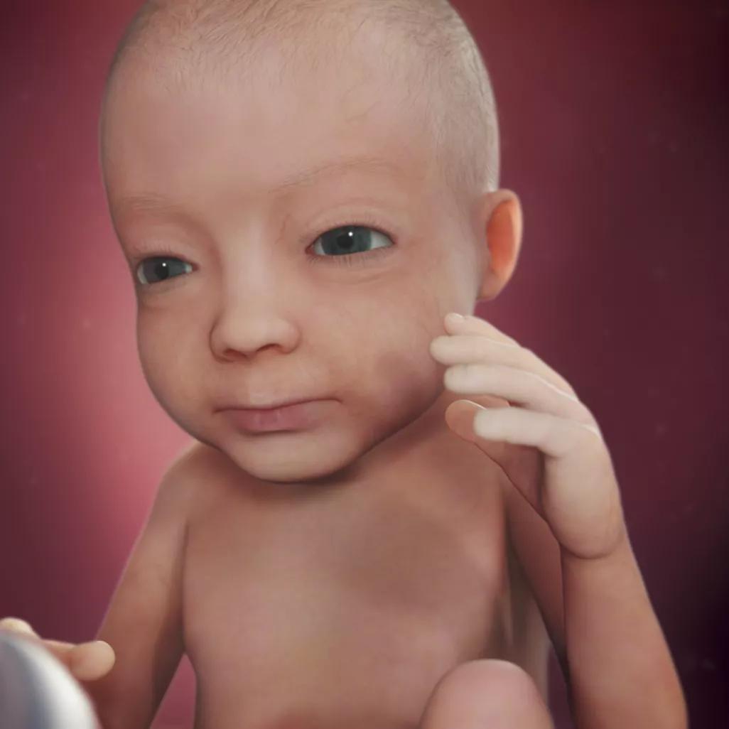 怀孕40周胎宝宝每周长什么样,怀孕40周胎停什么原因