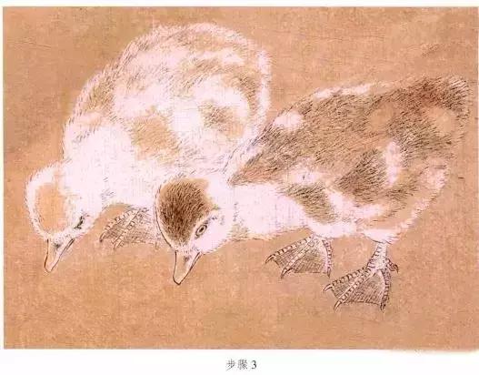 苏百钧工笔国画教学视频,苏百钧花鸟白描画稿