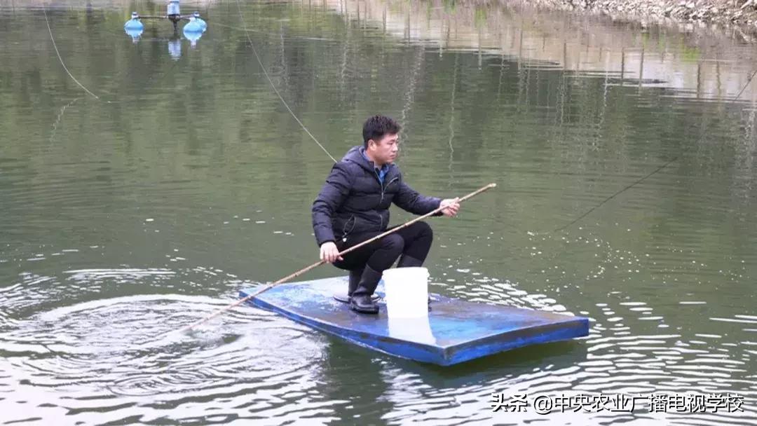 【农广天地】滑溜的财富抓起来