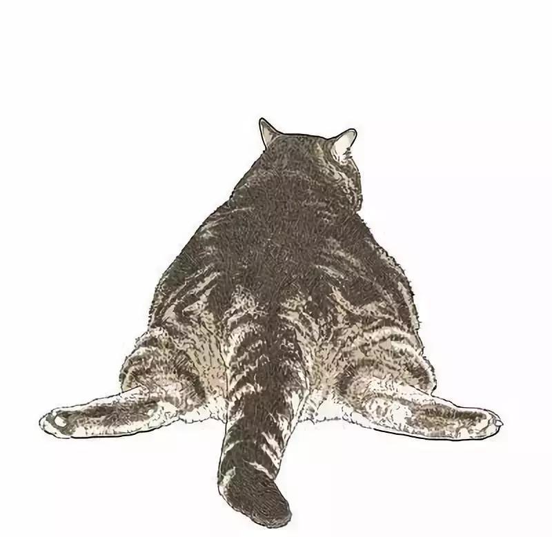 解析女性的各种*梦春**——是否有一种你做过？