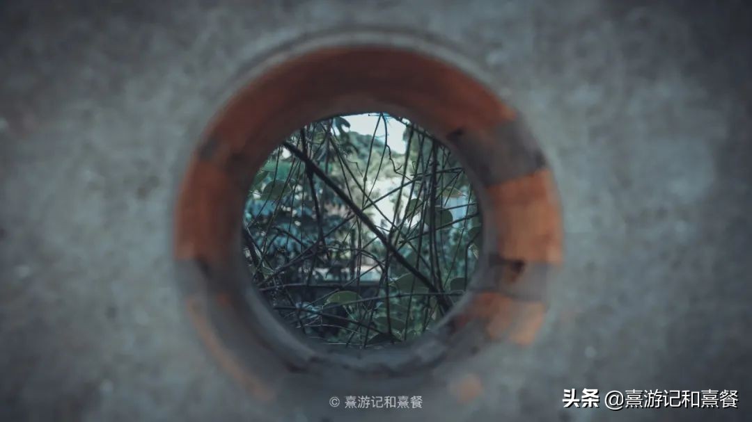 去厦门必须体验的六件事,送给第一次去厦门的五点建议