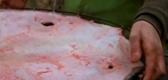 河狸皮毛的优点,河狸皮毛十分名贵