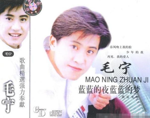 歌星毛宁的现状,歌星毛宁现状如何