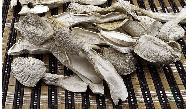 果园套种食用菌,草莓套种什么食用菌最好