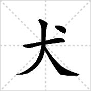 致死率接近100%！一旦发作从不失手！这样的狂犬病你不怕吗？