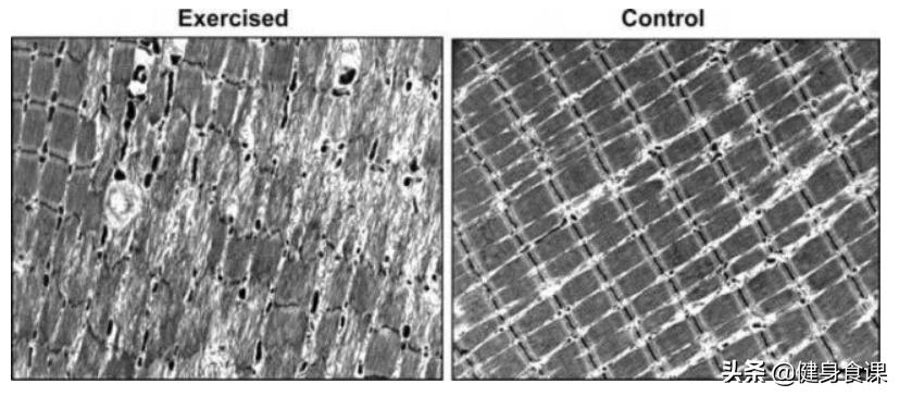 肌肉没感觉什么办法可以恢复,肌肉没锻炼快速松弛原因