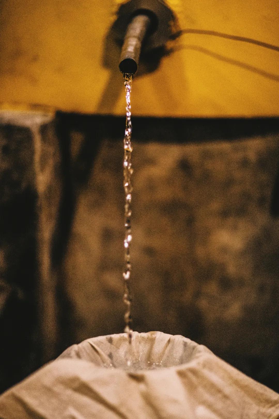 五粮品质｜用一辈子酿造的酒，有多好喝？