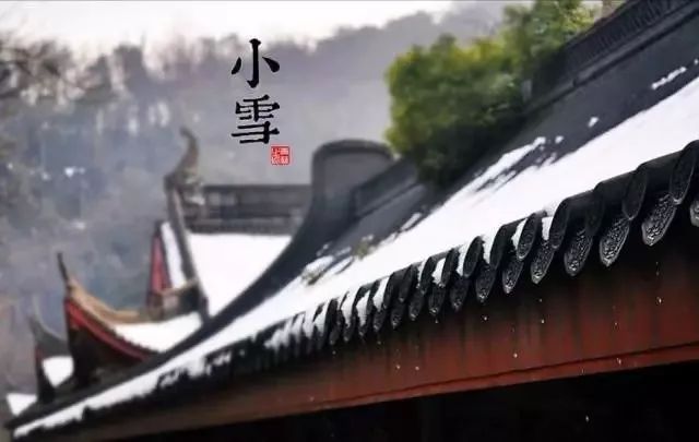 24节气适合喝什么茶,一年最热的节气宜喝什么茶