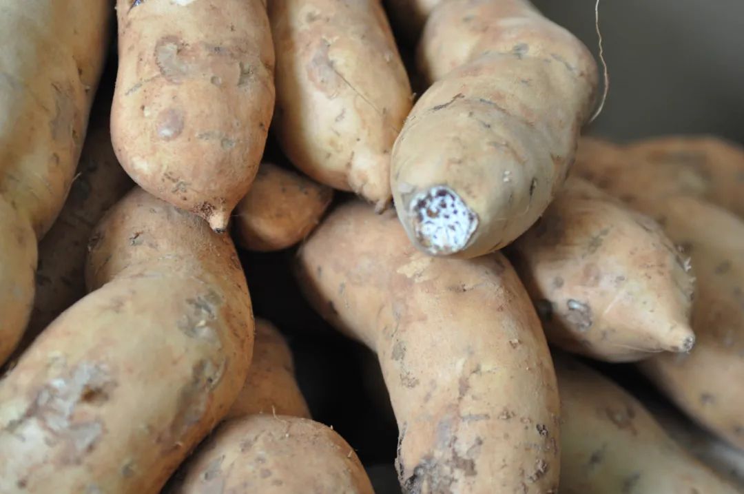 舌尖上的古城建水味道,建水美食百年老店