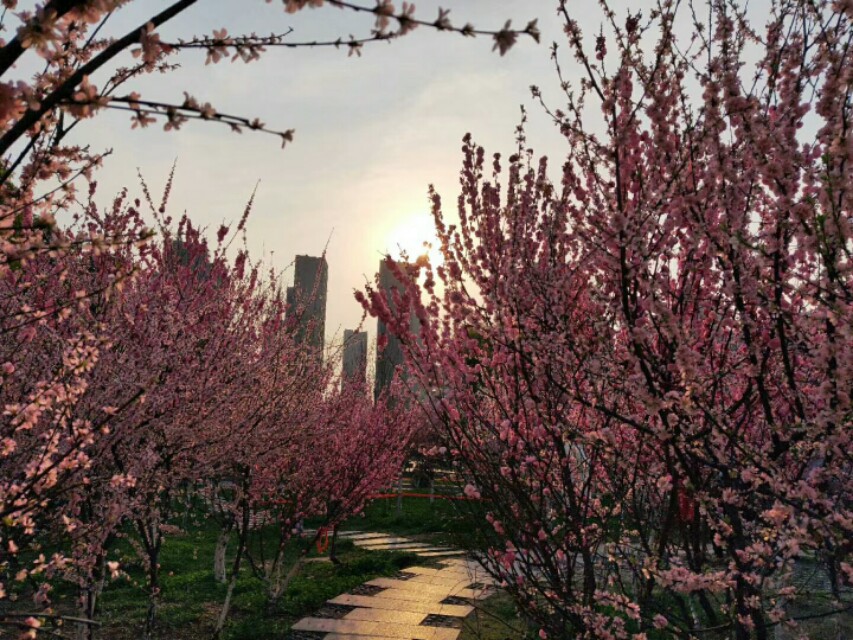 关于春天的成语和名言,关于春天的成语和短句子大全