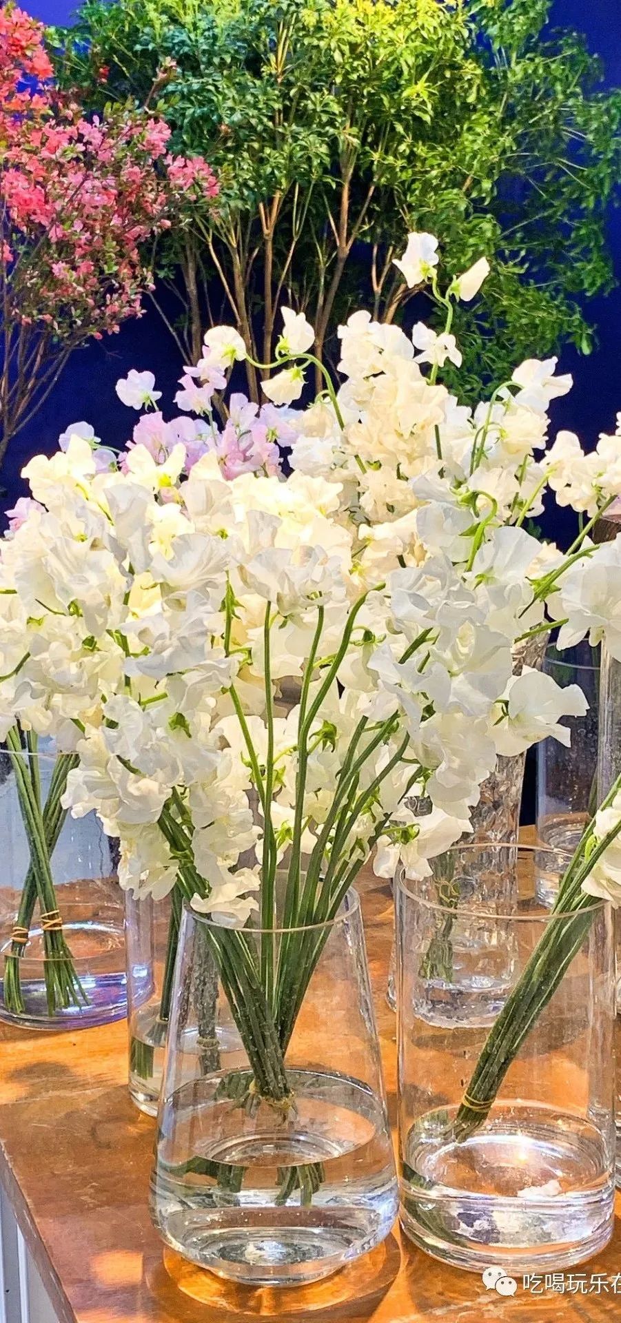 北京崇文区西花市大街,北京通州花市在哪里